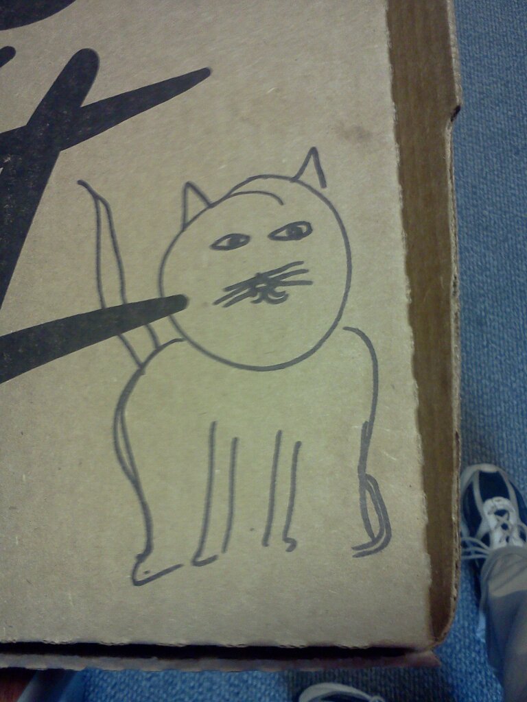 Cat drawn on a Pizza Hut box.